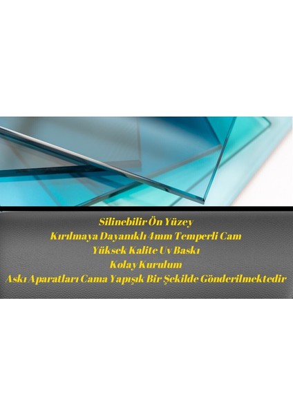 3D Aslan Cam Tablo