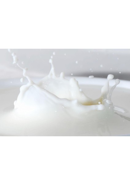 Konsantre Koyun Sütü Aroması Suda Çözünür 10 ml