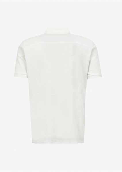 Ekru Erkek Polo T-Shirt 242 Lcm 242026 Tylen Ekru fiyatları