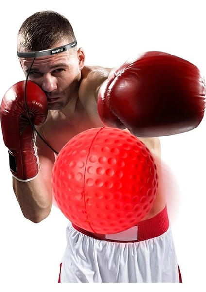 25G Top Tarzı Yetişkin Çocuklar Yükseltilmiş Boks Refleks Top Dövüşü Mma Hız Eğitimi Delme Spor Egzersiz El Göz Koordinasyonu Fitness Ekipmanları (Yurt Dışından) modelleri