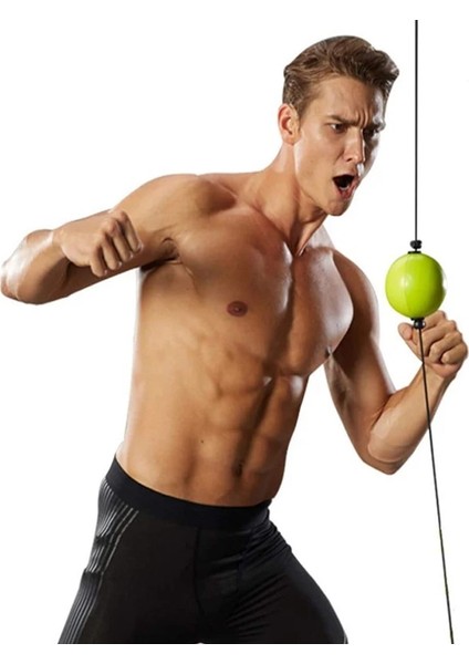 Ayarlanabilir Boks Topu Reaksiyon Hızı Eğitimi Delme Savaş Topu Fitness Ekipmanları Aksesuarları Stres Giderici Havalandırma Topu (Yurt Dışından) fiyatları