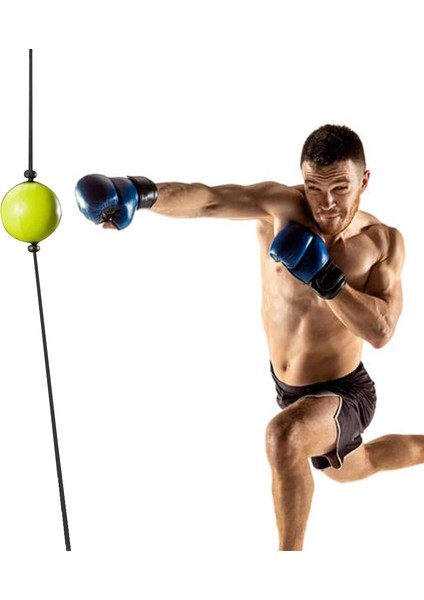 Hızlı Top Stili Ayarlanabilir Vantuz Boks Refleks Hız Topu Muay Thai Mma El Göz Tepki Eğitimi Yumruk Dövüş Topu Dekompresyon Egzersizi (Yurt Dışından) fırsatları