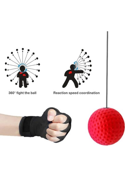 60G Top Seti B Stili Boks Refleks Hız Yumruk Topu Sanda Boxer Yükseltme Reaksiyon Kuvveti El Göz Eğitim Seti Stres Spor Salonu Boks Muay Thai Egzersiz (Yurt Dışından) fiyatları