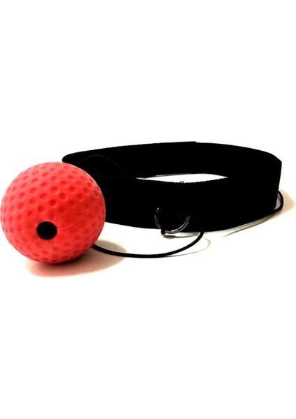 Top Ağırlığı 80G Stili Profesyonel Boks Refleks Hız Yumruk Topu Oyuncak Mma Eğitim Reaksiyon Eğitim Seti Sanda Thai Boks Egzersiz Ekipmanları EF0040 (Yurt Dışından) modelleri
