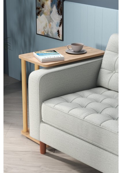 Kahverengi Tekerlekli Çam Çalışma Masası ve Kişisel Çözüm Sehpası Laptopmasa 60 cm Suntalam 35 cm 6 fiyatları