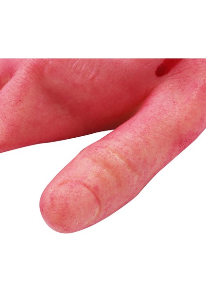 Kanlı Korku Korkunç Cadılar Bayramı Prop Kesilmiş Yaşam Boyutu Kol El Evi 19 x 10.5 cm (Yurt Dışından)