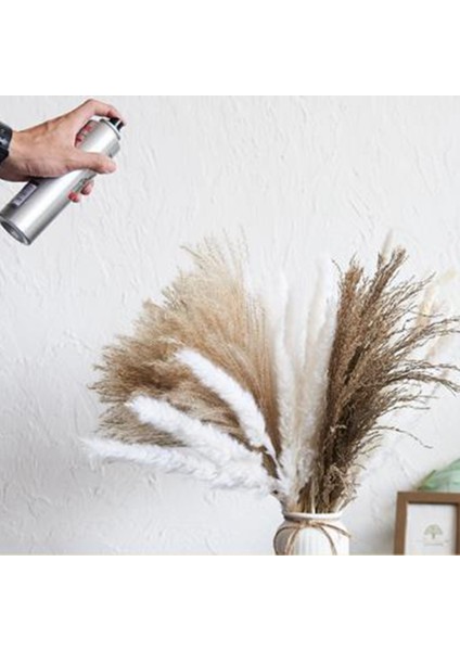 102 Adet Doğal Kurutulmuş Pampas Çim Dekor Pampas Çim Buketi Çiçek Düzenlemeleri Düğün Dekorasyon Dekor Için (Yurt Dışından) fiyatları