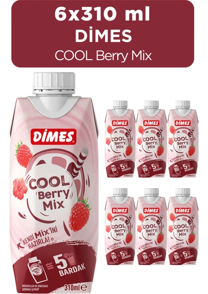 Cool Berry Mix 310 ml 6'lı Paket