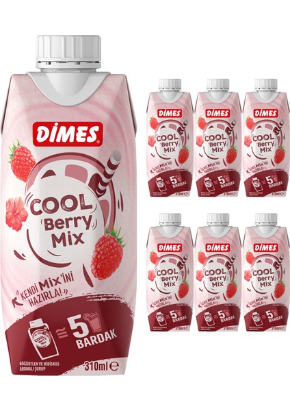 Cool Berry Mix 310 ml 6'lı Paket