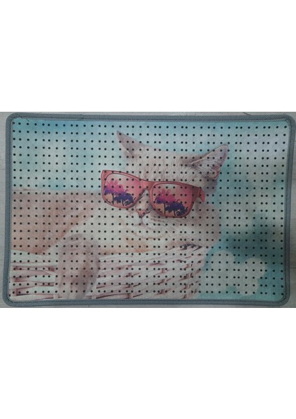 Kedi Kumu Paspası, Delikli Kedi Paspası, Elekli Kedi Tuvaleti Paspası, 40*60