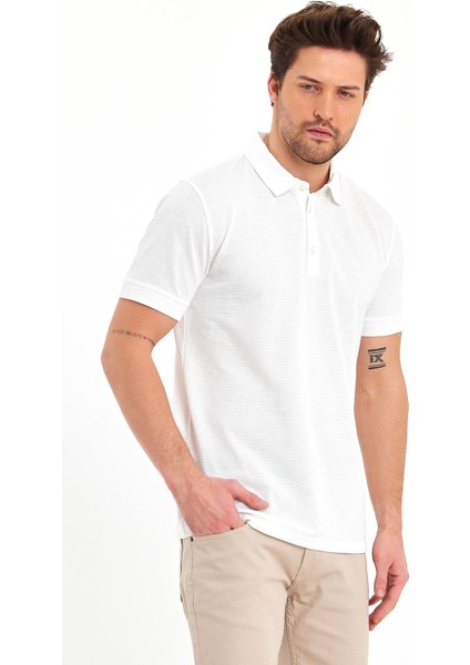 Erkek Polo Yaka T-Shirt
