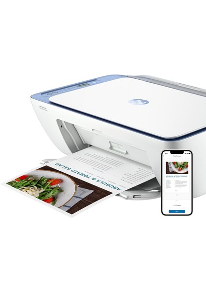 Hp Deskjet Ink Advantage 2878 All-In-One Yazıcı