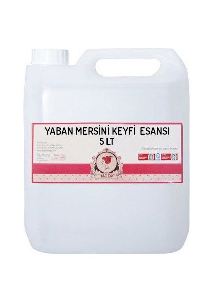 Yaban Mersini Keyfi Esansı 5 Lt