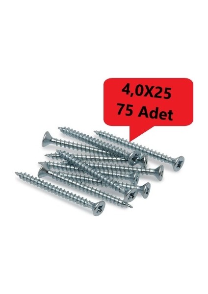 Sunta Vidası 4,0X25 75 Adet Tam Diş SNT YHB Vida