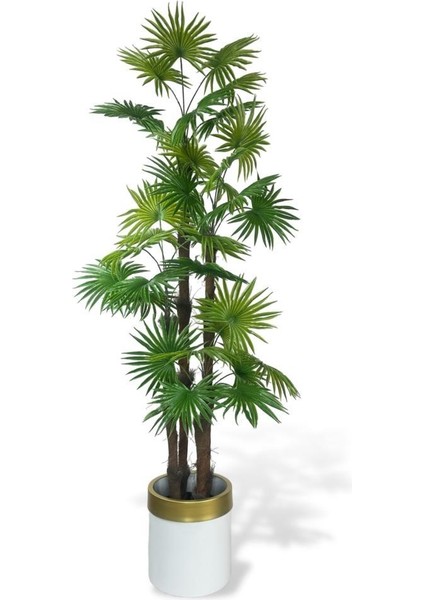 Yapay Ağaç Yelpaze Palmiye 4katlı Fanpalm 32 Yaprak Altın Kemerli Beyaz Saksıda 170*65CM