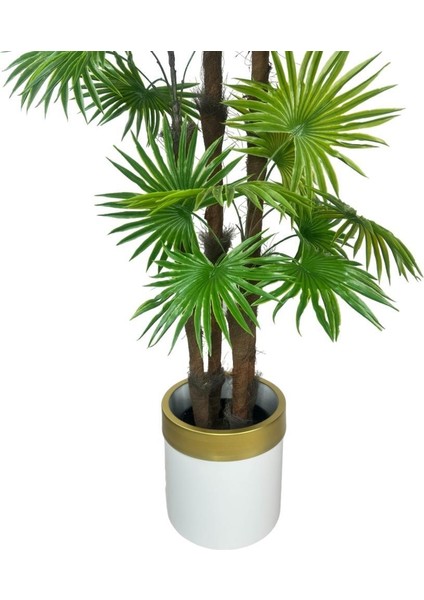 Yapay Ağaç Yelpaze Palmiye 4katlı Fanpalm 32 Yaprak Altın Kemerli Beyaz Saksıda 170*65CM