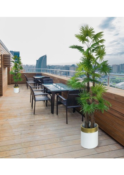Yapay Ağaç Yelpaze Palmiye 4katlı Fanpalm 32 Yaprak Altın Kemerli Beyaz Saksıda 170*65CM