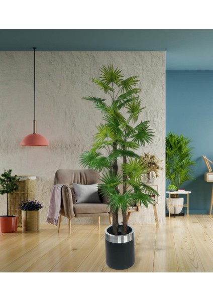 Yapay Ağaç Yelpaze Palmiye 4katlı Fanpalm 32 Yaprak Gümüş Kemerli Siyah Saksıda 170*65CM