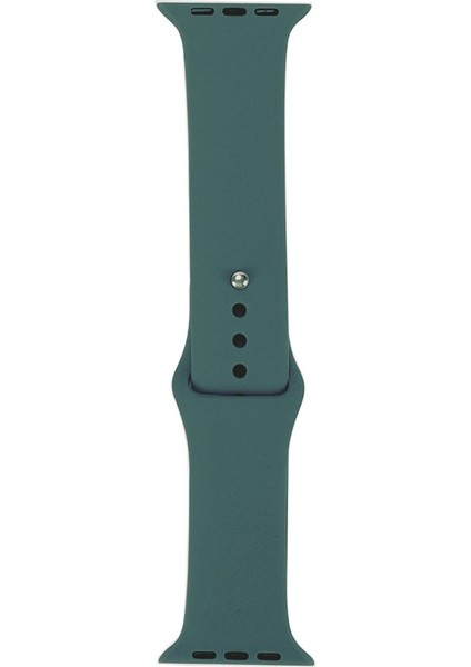 Apple Watch 8 41MM Kordon KRD11 Klasik Mat Kordon