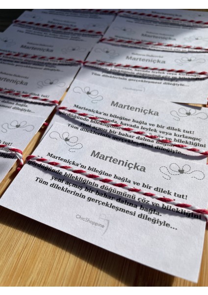 Marteniçka Bileklik 10'lu fiyatları