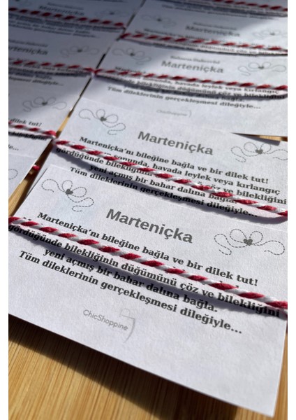 Marteniçka Bileklik 10'lu modelleri
