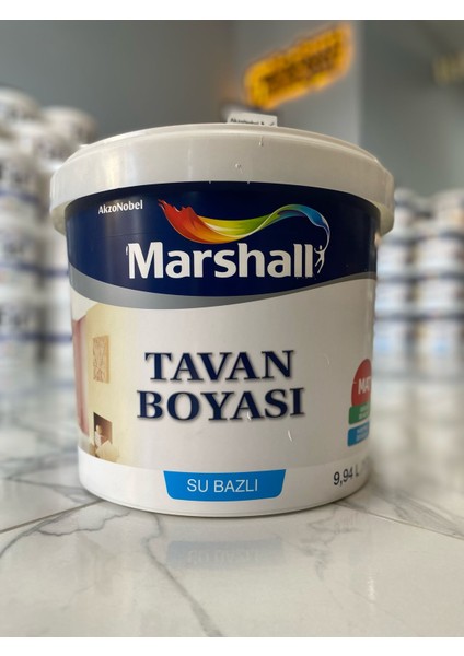 Tavan Boyası