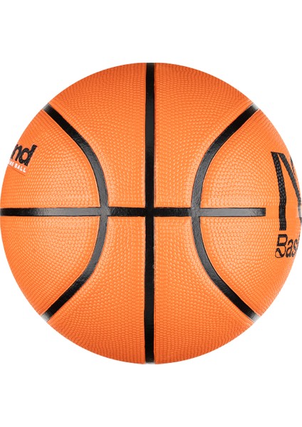 N1004371-810 Everyday Playground 8p 7 No Basketbol Topu