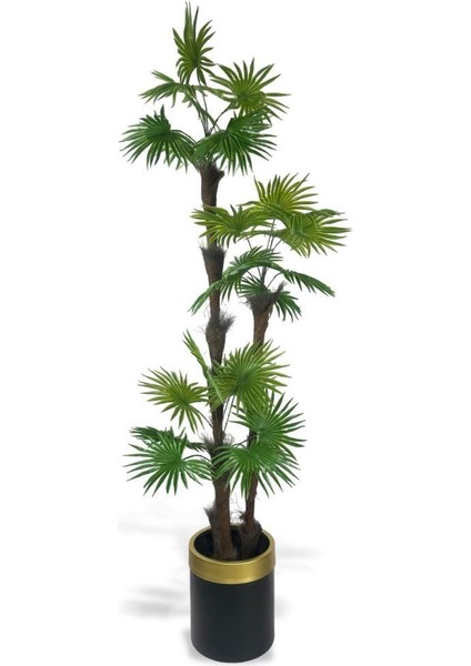Yapay Ağaç Palmiye Fanpalm 3katlı 24YAPRAK Gold Kemerli Siyah Saksıda 165*65CM