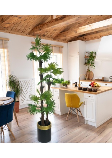 Yapay Ağaç Palmiye Fanpalm 3katlı 24YAPRAK Gold Kemerli Siyah Saksıda 165*65CM