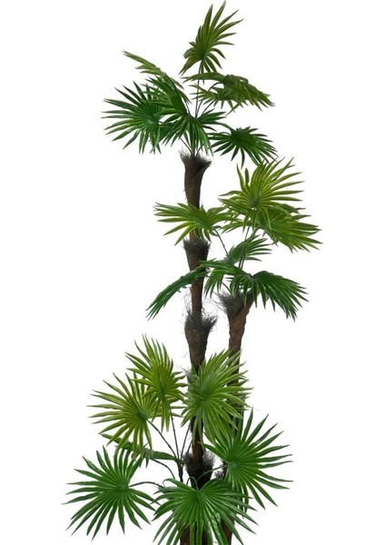 Yapay Ağaç Palmiye Fanpalm 3katlı 24YAPRAK Siyah Plastik Saksıda 165*65CM