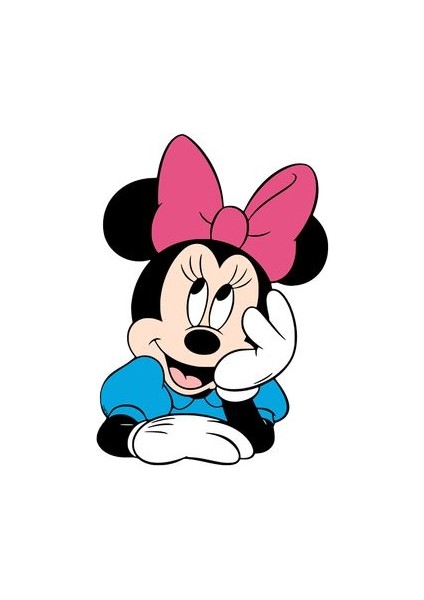 Sayılarla Boyama Seti Minnie Mosue 30X40CM fiyatları