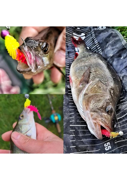 Renkvd Stili Balık Kokusu Yumuşak Yemler Jig Alabalık Solucan Yumuşak Yemler 6cm.2g Yapay Deniz Solucanları Solucan Balıkçılık Yumuşak Yemler Wobblers (Yurt Dışından) fırsatları