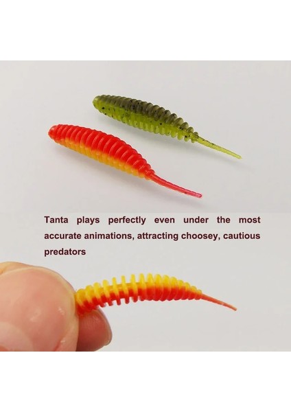 PA02 Stili 38MM 12 Adet Kesfıshıng Yumuşak Cazibesi Solucan Yumuşak Yem Tanta Balıkçılık Cazibesi Pesca Sazan Balıkçılık Yumuşak Cazibesi Tuz Bas Cazibesi (Yurt Dışından) fırsatları