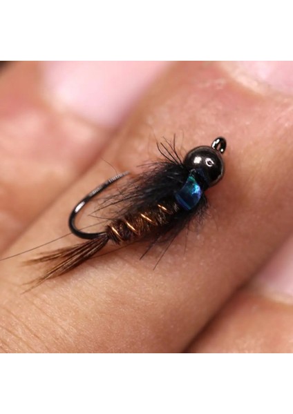 6 Adet Boyut 12 Tarzı Wifreo Flaş Geri Sülün Kuyruğu Perisi Sinek Tungsten Boncuk Kafa Islak Perisi Balık Tutma Alabalık Grayling Panfish Balıkçılık Için Sahte Cazibesi (Yurt Dışından) fırsatları