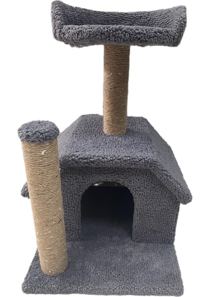 Kedi Evi