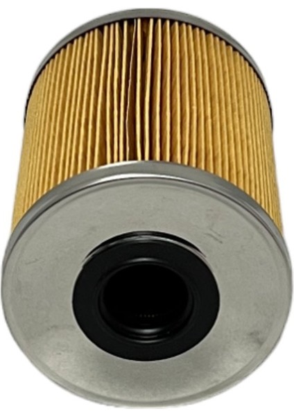 Nissan Primera (1.9 D 85-88 Kw) 2003-2010 Yakıt Filtresi indirimleri