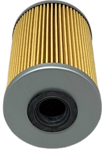 Opel Vivaro A (1.9 D, 2.0 D, 2.5 D) 2001-2014 Yakıt Filtresi