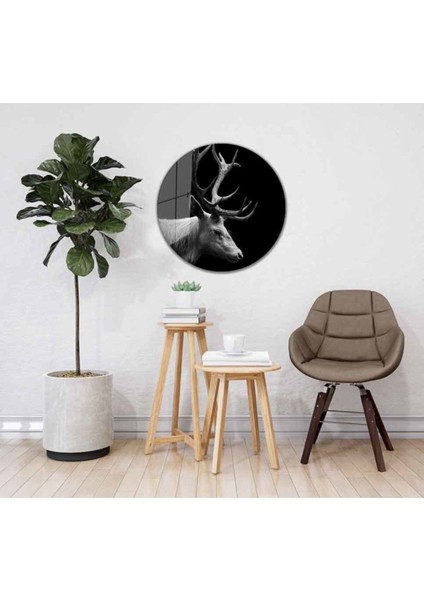 Geyik Yuvarlak Cam Tablo 4mm Dayanıklı Temperli Cam fiyatları