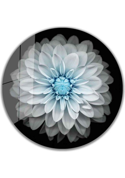 Çiçek Yuvarlak Cam Tablo 4mm Dayanıklı Temperli Cam