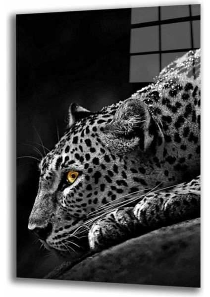 Kaplan 2 Hayvan Siyah Beyaz Cam Tablo