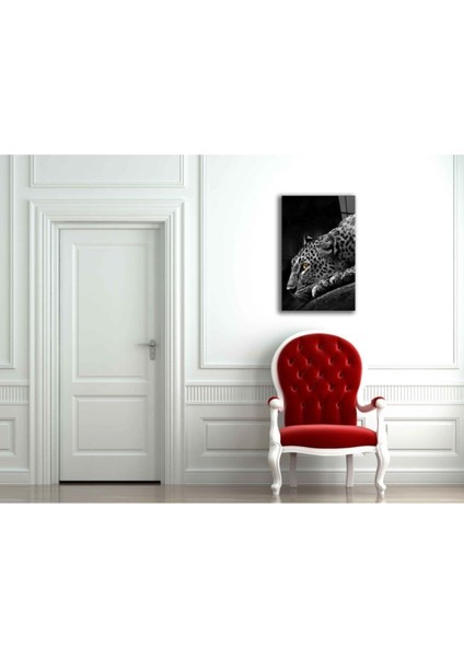 Kaplan 2 Hayvan Siyah Beyaz Cam Tablo fiyatları