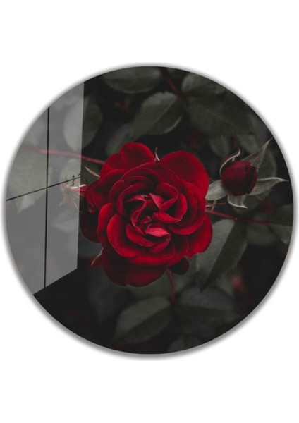 Kırmızı Gül Yuvarlak Cam Tablo 4mm Dayanıklı Temperli Cam