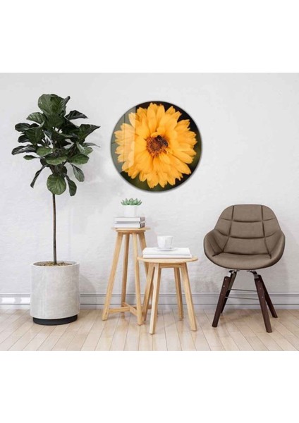 Çiçek Yuvarlak Cam Tablo 4mm Dayanıklı Temperli Cam fiyatları