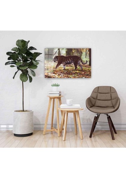 Kaplan Cam Tablo 4mm Dayanıklı Temperli Cam fiyatları