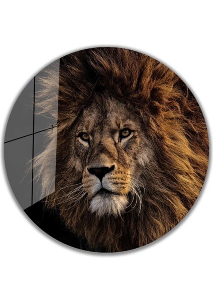 Aslan Yuvarlak Cam Tablo 4mm Dayanıklı Temperli Cam