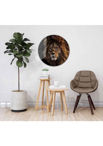 Aslan Yuvarlak Cam Tablo 4mm Dayanıklı Temperli Cam fiyatları