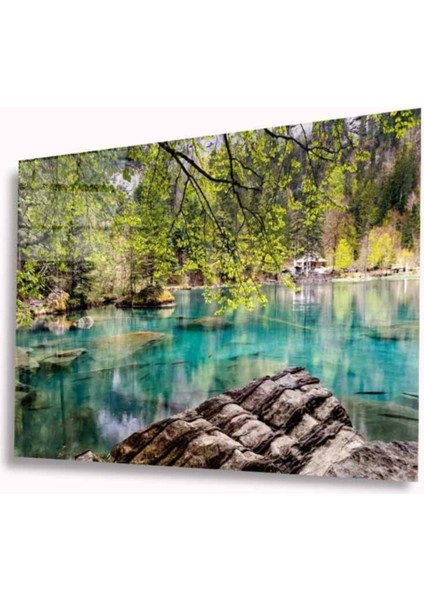 Doğa Manzara Cam Tablo 4mm Dayanıklı Temperli Cam