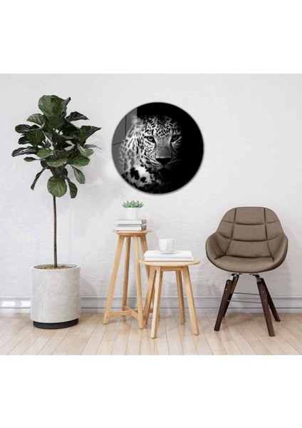 Kaplan Yuvarlak Cam Tablo 4mm Dayanıklı Temperli Cam fiyatları