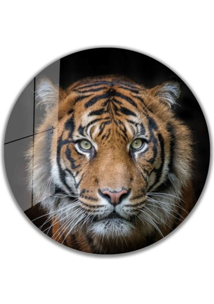 Kaplan Yuvarlak Cam Tablo 4mm Dayanıklı Temperli Cam