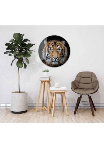 Kaplan Yuvarlak Cam Tablo 4mm Dayanıklı Temperli Cam fiyatları